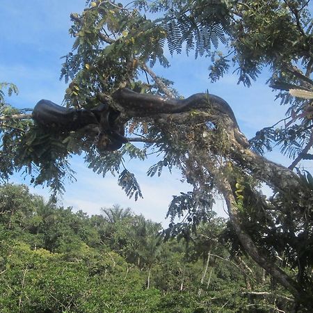 Puerto Montufar Jamu Lodge المظهر الخارجي الصورة