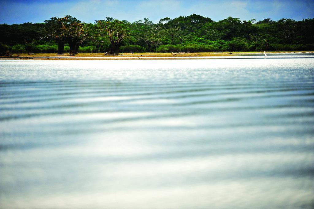 Puerto Montufar Jamu Lodge المظهر الخارجي الصورة