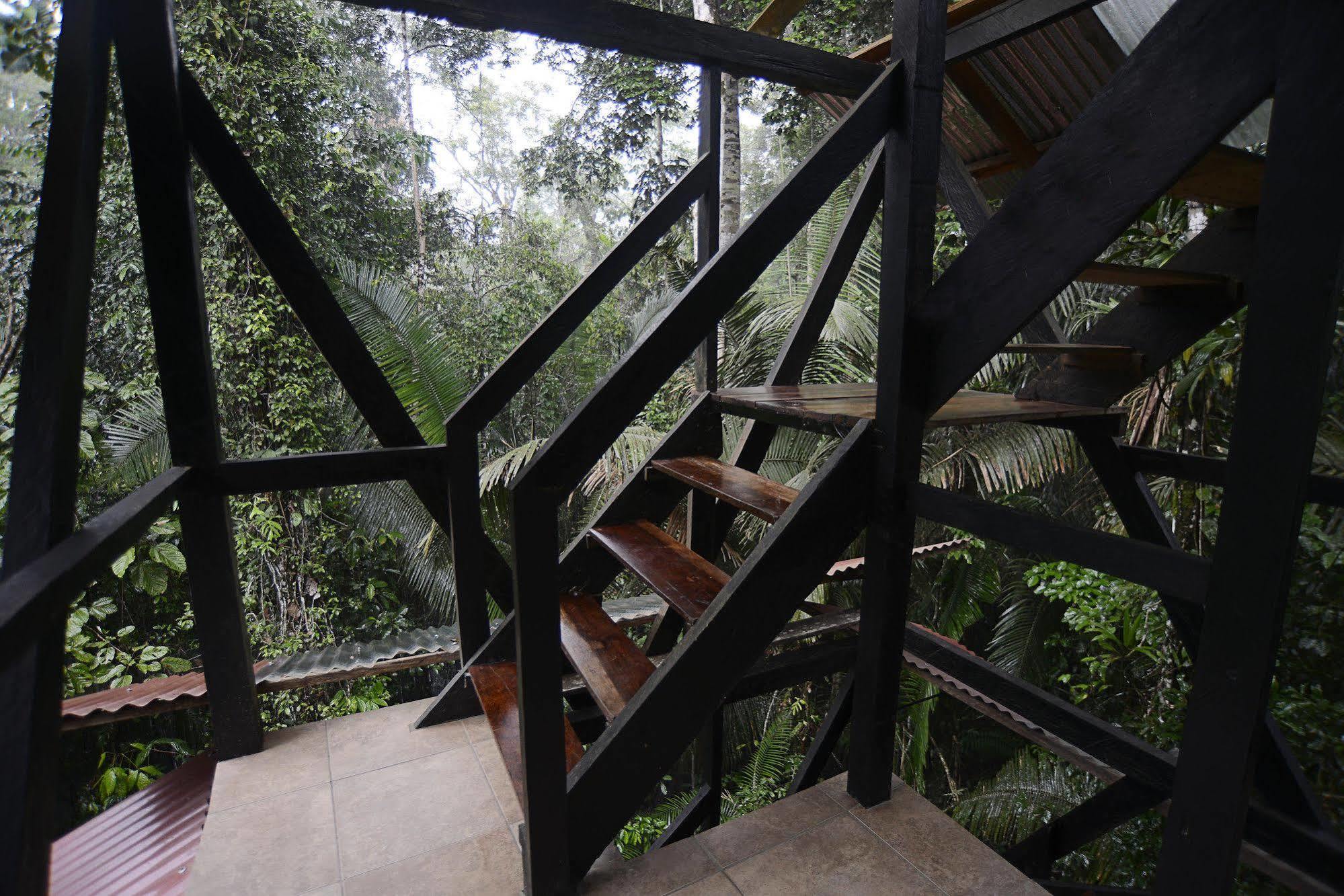 Puerto Montufar Jamu Lodge المظهر الخارجي الصورة